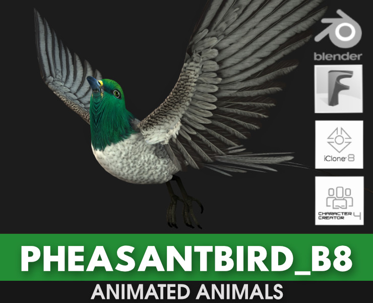 PheasantBirdB8 3D-Modell .c4d .max .obj .3ds .fbx .stl .blend 