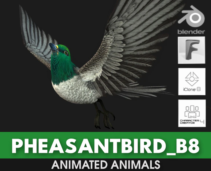 BażantPtakB8 Model 3D .c4d .max .obj .3ds .fbx .stl .blend 