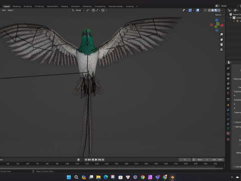 PheasantBirdB8 3D-Modell