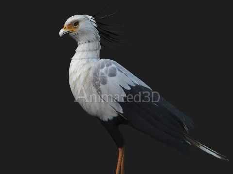 Segretario BirdA1 Modello 3D