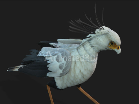 Secretary BirdA1 3D 模型
