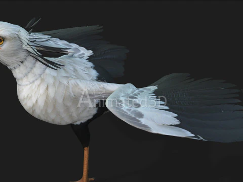 Segretario BirdA1 Modello 3D