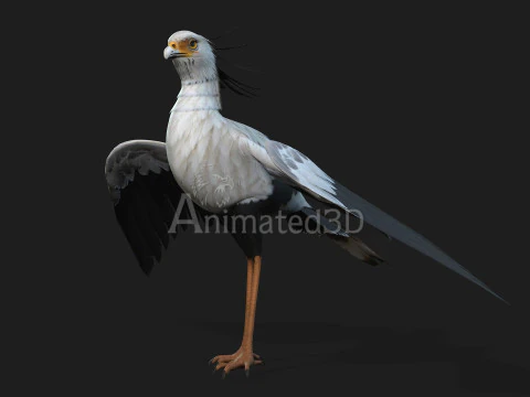 Segretario BirdA1 Modello 3D