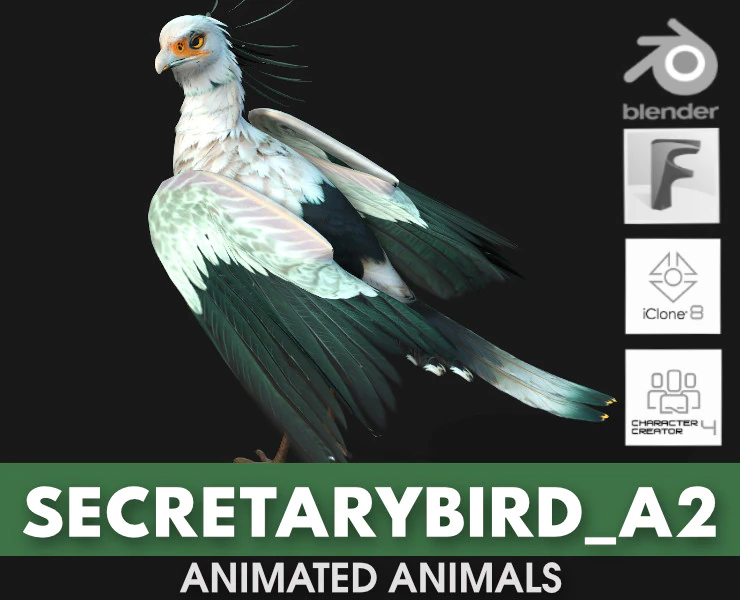 Secretary BirdA2 3D Model .c4d .max .obj .3ds .fbx .stl .blend