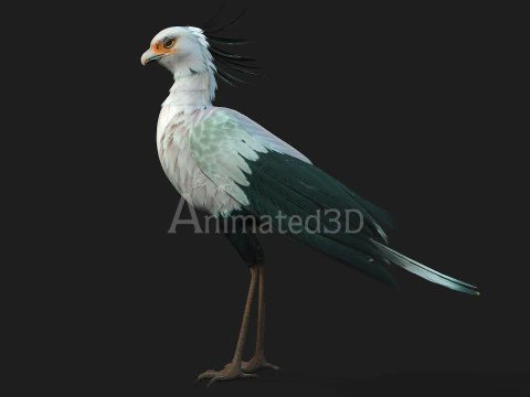 Secretary BirdA2 3D Model