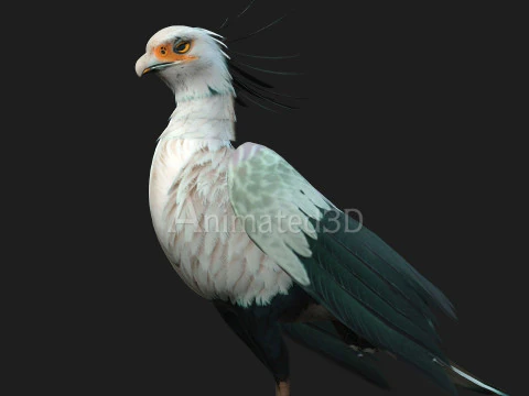 Secretary BirdA2 3D Model