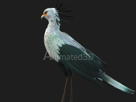 Secretary BirdA2 3D Model