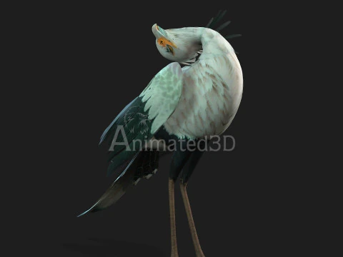 Secretary BirdA2 3D Model