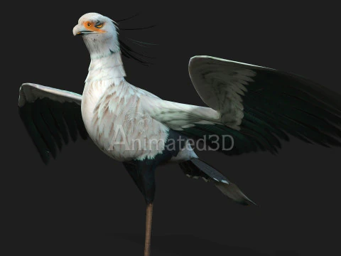 Secretary BirdA2 3D Model
