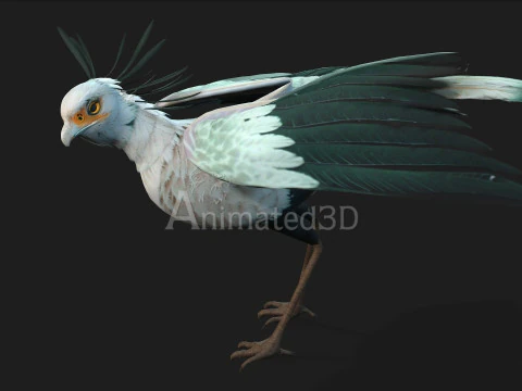 Secretary BirdA2 3D Model