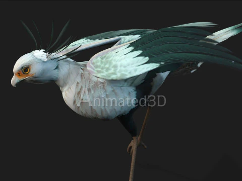 Secretary BirdA2 3D Model
