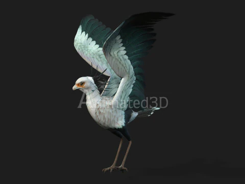 Secretary BirdA2 3D Model