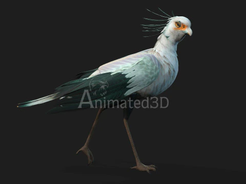 Secretary BirdA2 3D Model