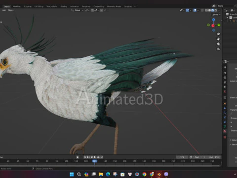 Secretary BirdA2 3D Model