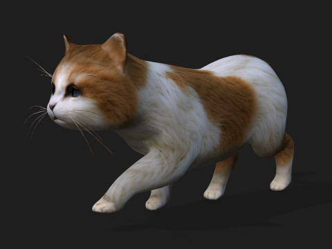 CatA1 Modelo 3D