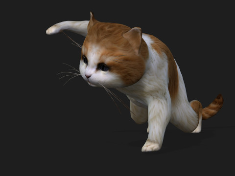 CatA1 Modelo 3D
