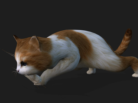 CatA1 Modelo 3D