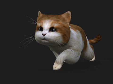 CatA1 Modelo 3D