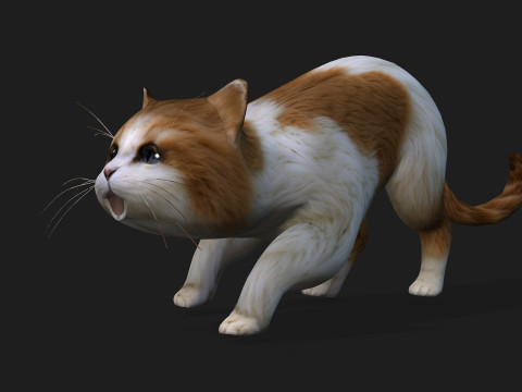 CatA1 Modelo 3D