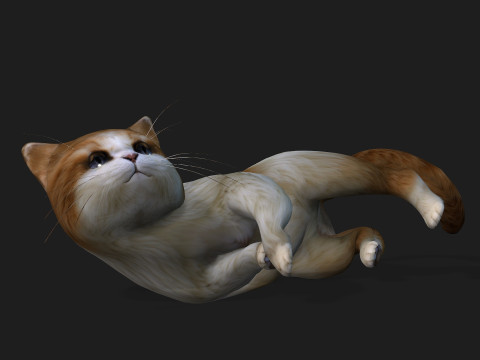 CatA1 Modelo 3D