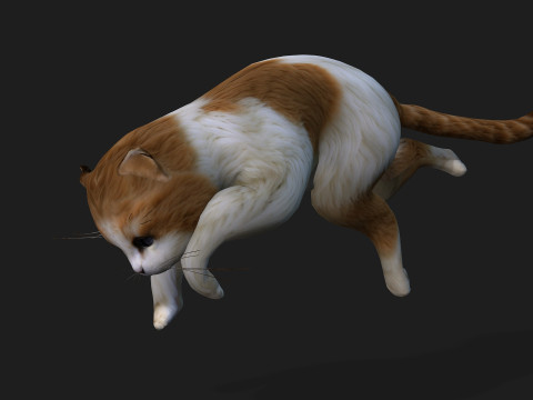 CatA1 Modelo 3D