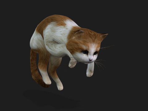 CatA1 Modelo 3D