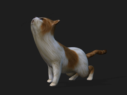 CatA1 Modelo 3D