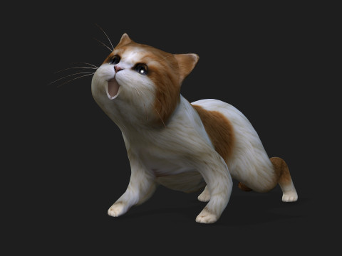 CatA1 Modelo 3D