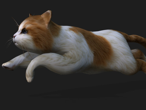 CatA1 Modelo 3D