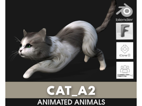 CatA2 Model 3D