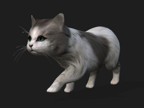 CatA2 3D Model