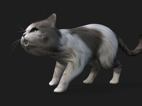 CatA2 3D Model