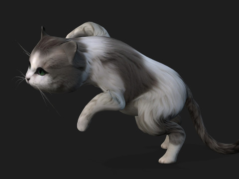 CatA2 3D Model