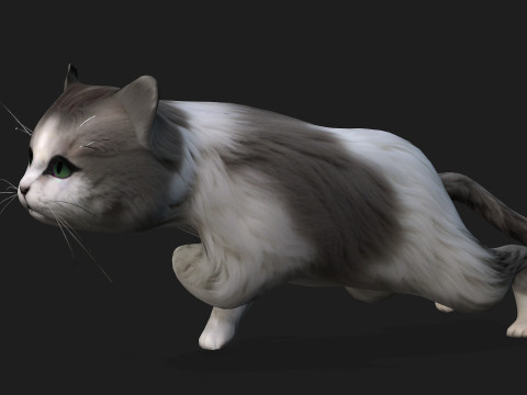 CatA2 3D Model