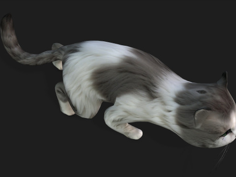 CatA2 3D Model