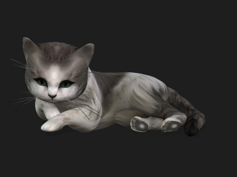 CatA2 3D Model