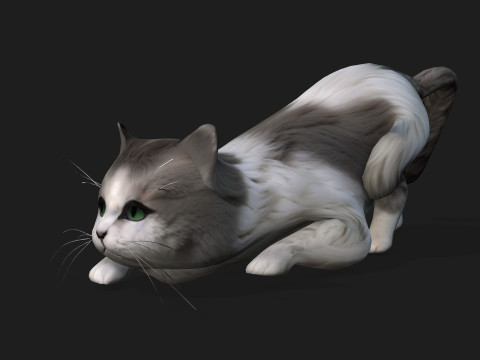 CatA2 3D Model