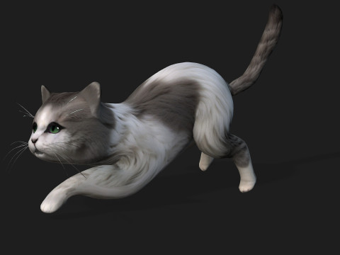 CatA2 3D Model