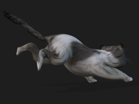 CatA2 3D Model