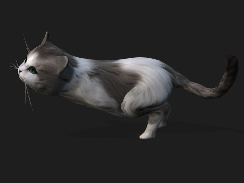 CatA2 3D Model