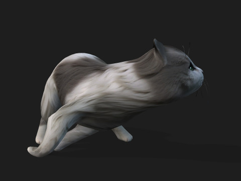 CatA2 3D Model