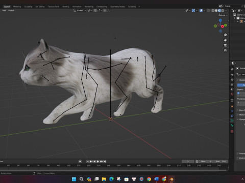 CatA2 3D Model