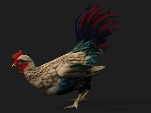 ChickenA4 Modelo 3D