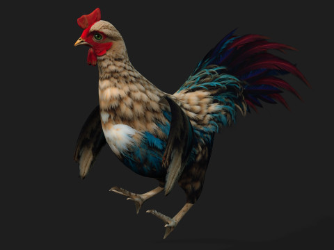 ChickenA4 Modelo 3D