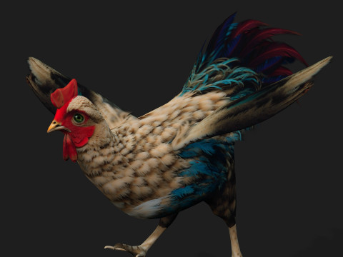 ChickenA4 Modelo 3D