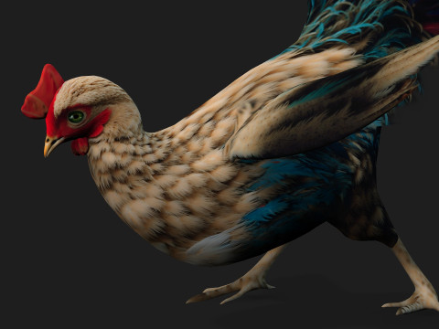 ChickenA4 Modelo 3D