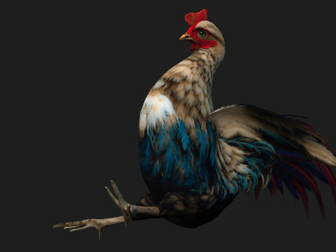 ChickenA4 Modelo 3D