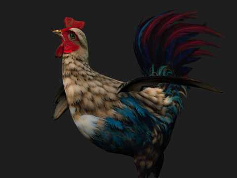 ChickenA4 Modelo 3D