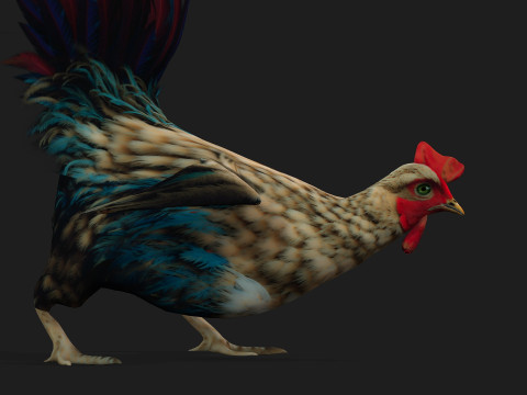 ChickenA4 Modelo 3D
