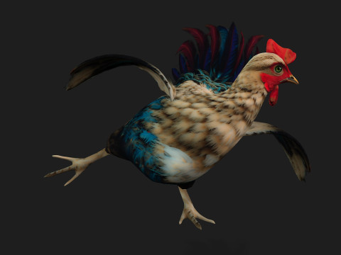 ChickenA4 Modelo 3D
